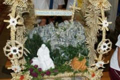 SONY DSC